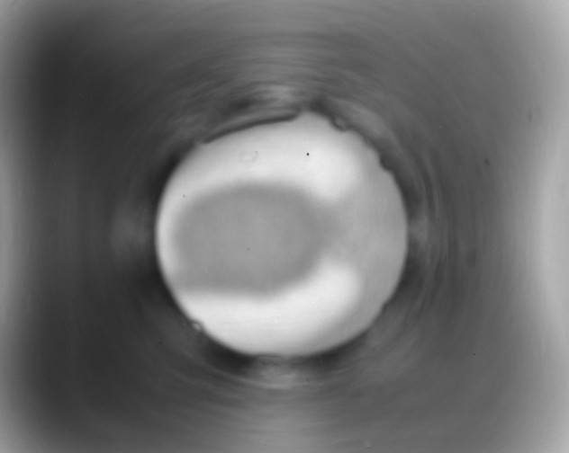 X0000088150423200706041358