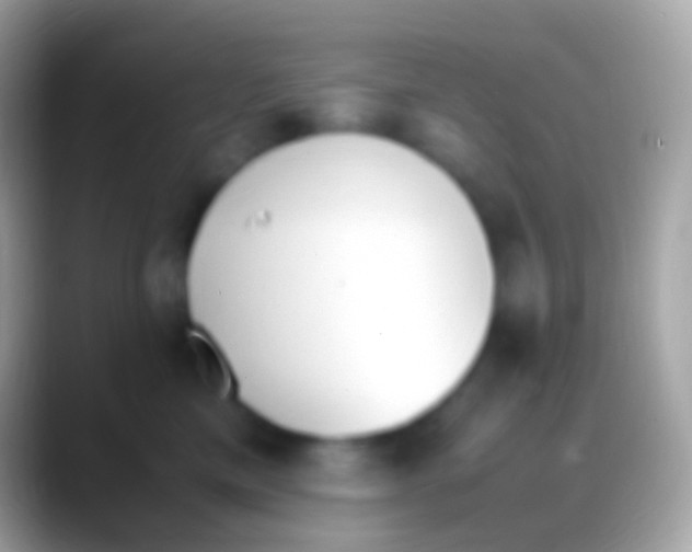 X0000088150425200706041358