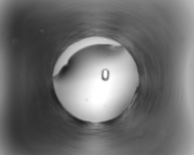 X0000088150429200706041358