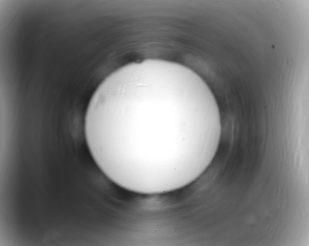 X0000088150430200706041358