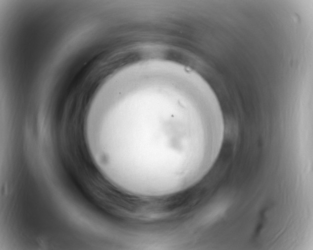 X0000088150431200706041358