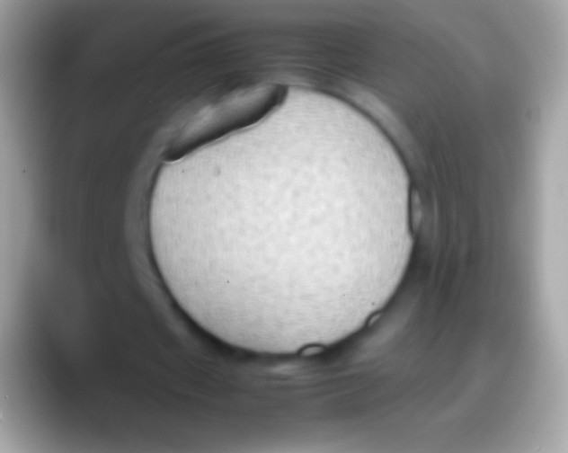 X0000088150433200706041357