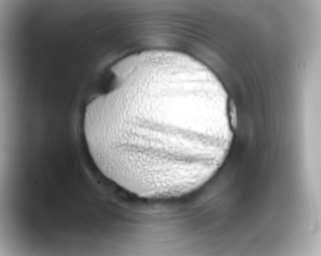 X0000088150434200706041357