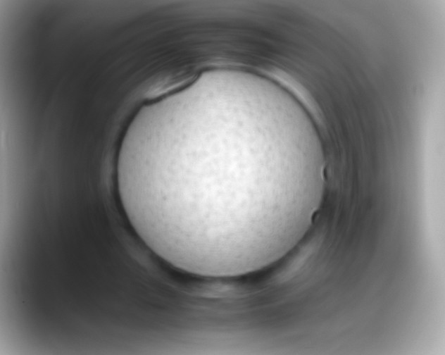 X0000088150437200706041357