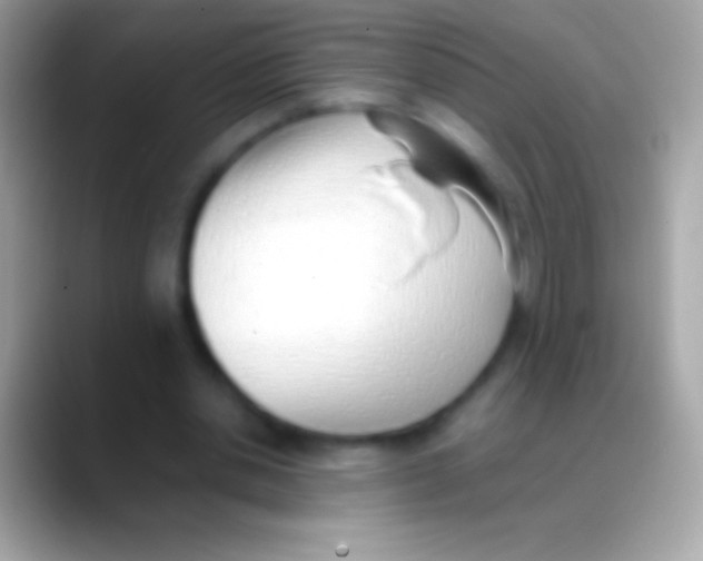 X0000088150438200706041357