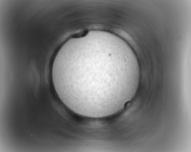 X0000088150439200706041357