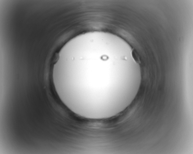 X0000088150440200706041358