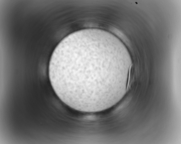 X0000088150441200706041358