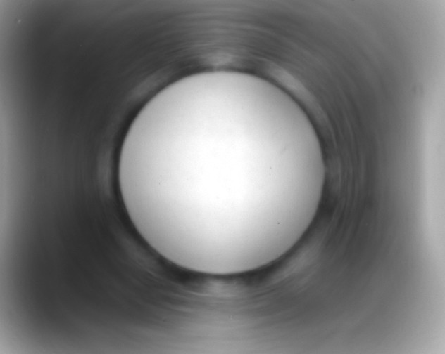 X0000088150442200706041358