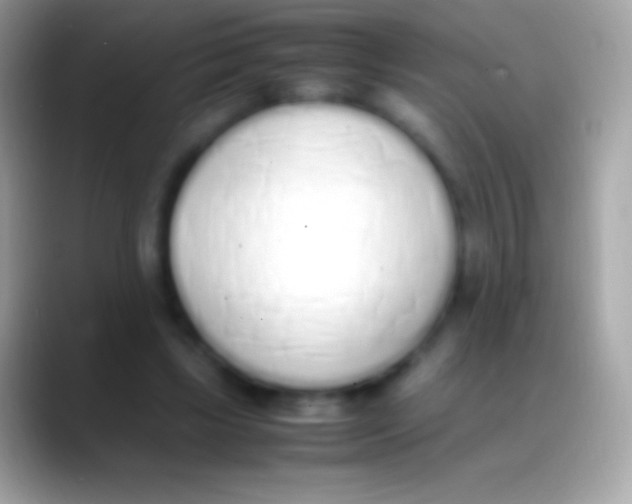 X0000088150443200706041358