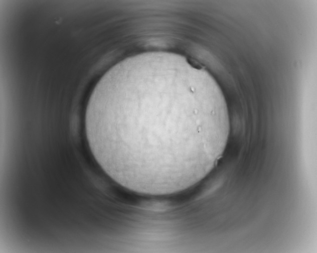 X0000088150444200706041358