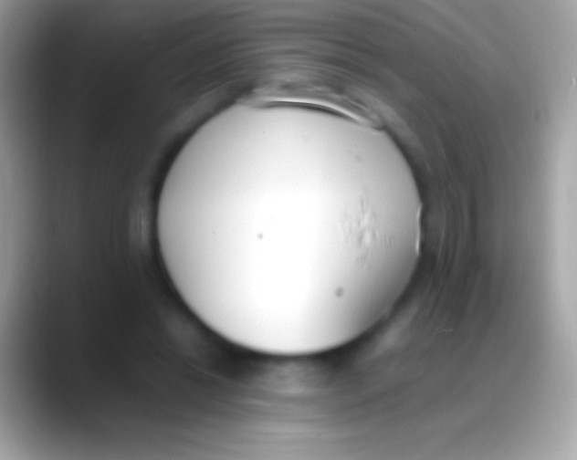 X0000088150446200706041358