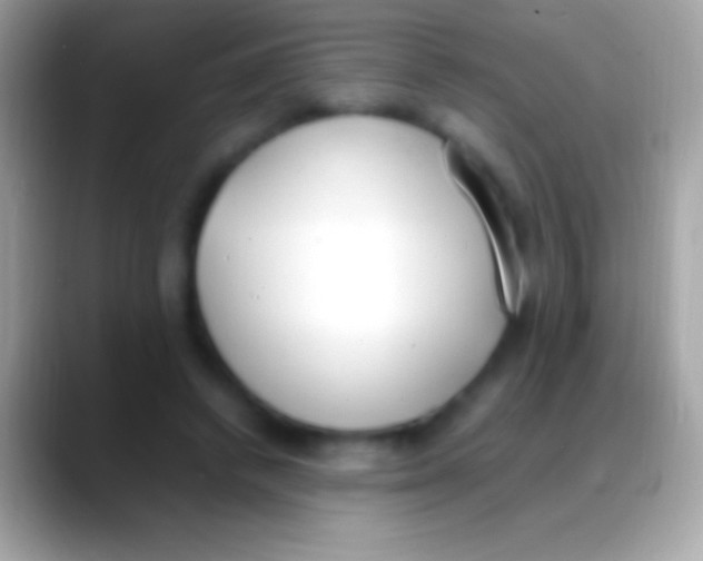 X0000088150448200706041358