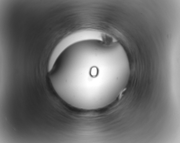 X0000088150452200706041358