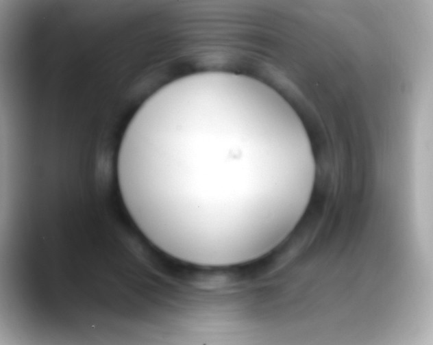 X0000088150454200706041358