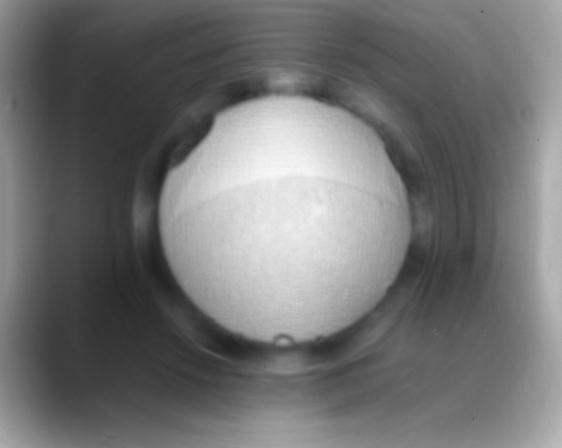 X0000088150456200706041358