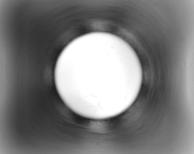 X0000088150457200706041358