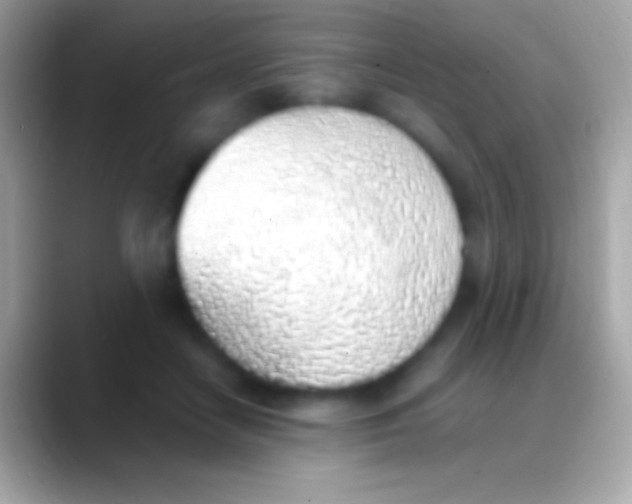 X0000088150458200706041358