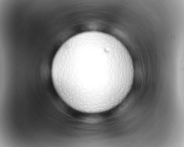 X0000088150459200706041358