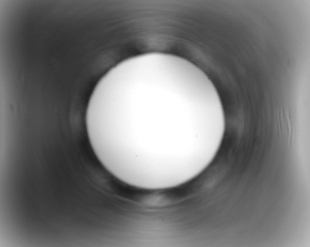 X0000088150460200706041358