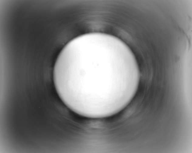 X0000088150462200706041358