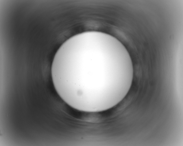 X0000088150463200706041358