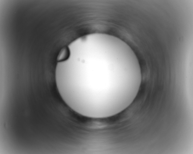 X0000088150464200706041358