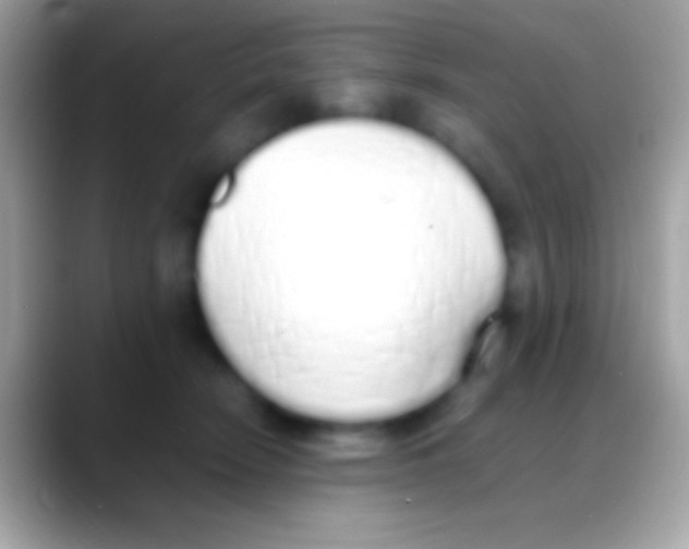 X0000088150466200706041358