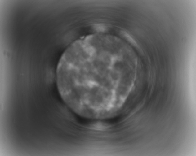 X0000088150467200706041358