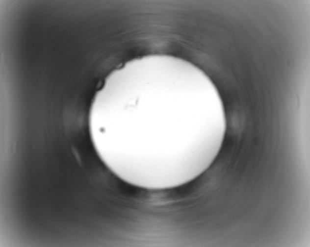 X0000088150472200706041358