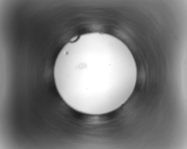 X0000088150473200706041358