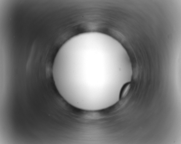 X0000088150476200706041358