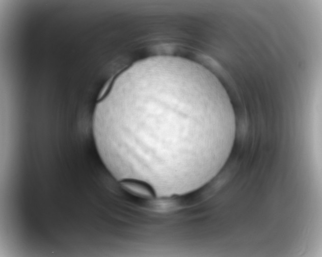 X0000088150477200706041358