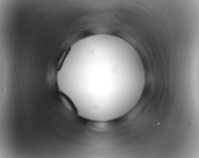 X0000088150478200706041358