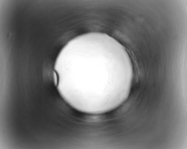 X0000088150479200706041358