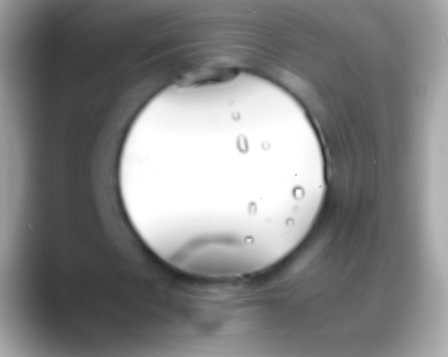 X0000088150481200706041357