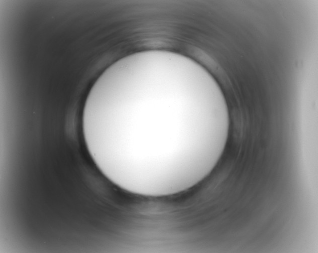 X0000088150482200706041357