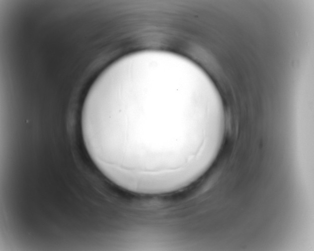 X0000088150483200706041357