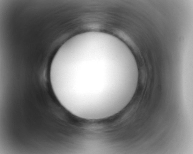 X0000088150486200706041357