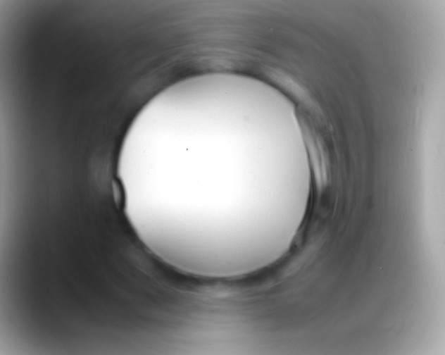 X0000088150489200706041357