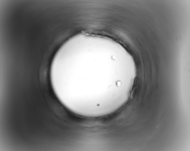 X0000088150491200706041357