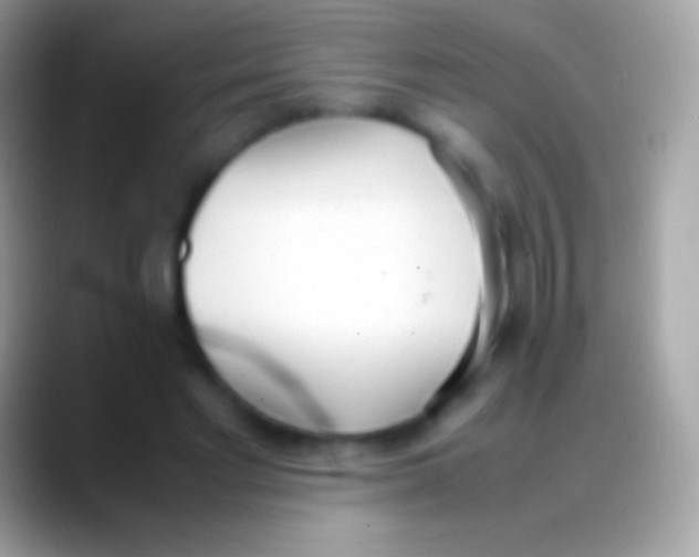 X0000088150493200706041357