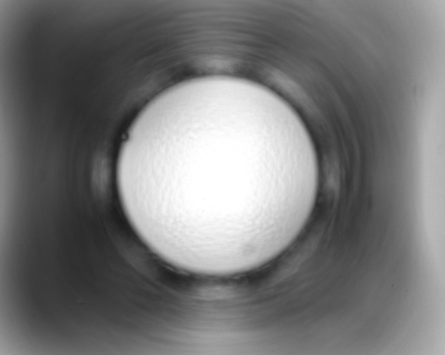 X0000088150494200706041357