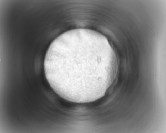 X0000088150496200706041357