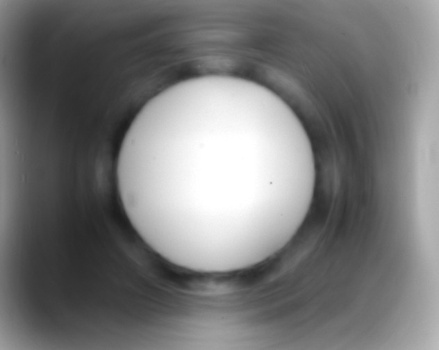 X0000088150498200706041357