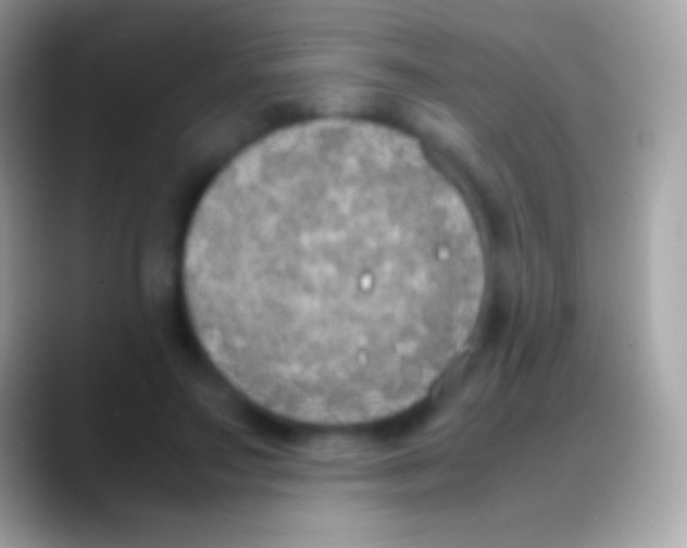 X0000088150499200706041357