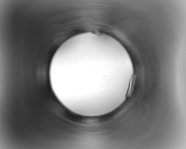 X0000088150501200706041357