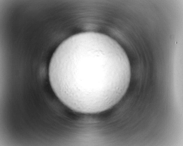 X0000088150502200706041357