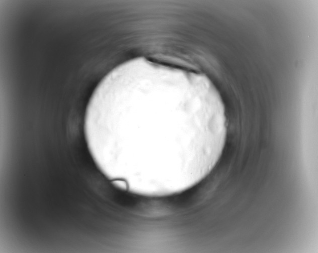 X0000088150503200706041357