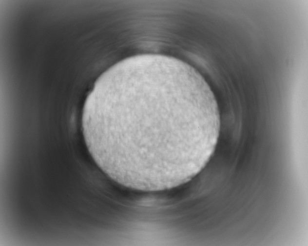 X0000088150504200706041357